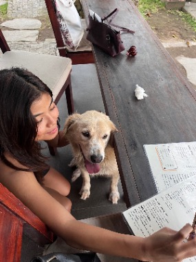 Other Breed (Small Dog Only)