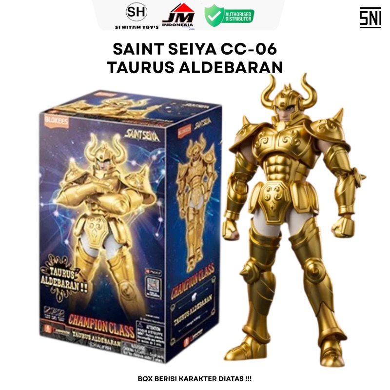 FIX BOX BLOKEES - SAINT SEIYA CC-06