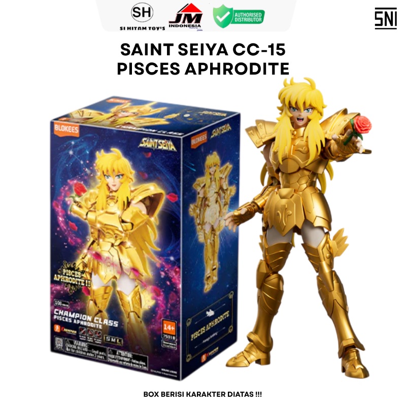FIX BOX BLOKEES - SAINT SEIYA CC-13 (3)