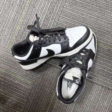 Nike Dunk Low Retro